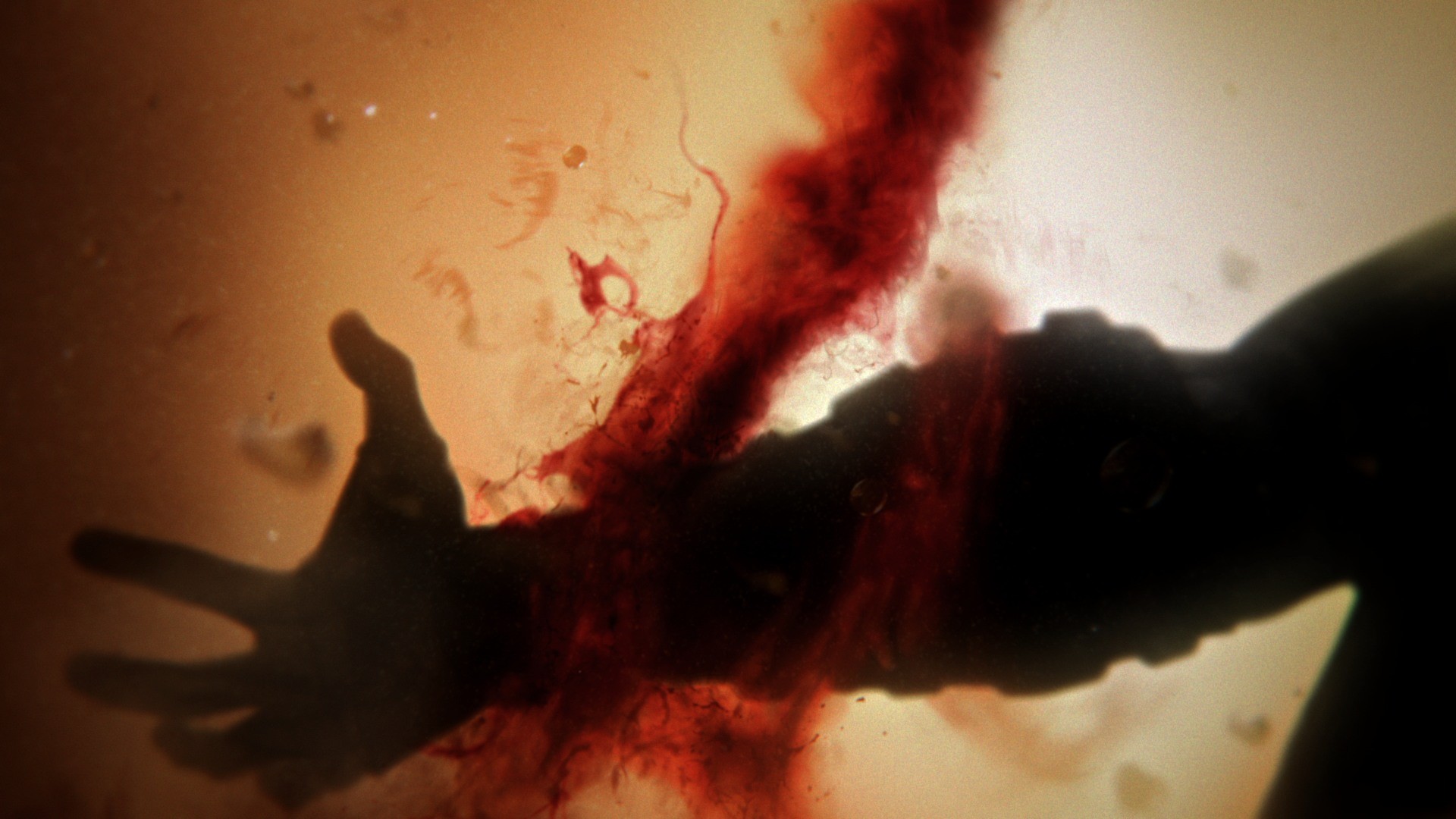 God of War: Ascension (Edición Coleccionista) - Imagen 23
